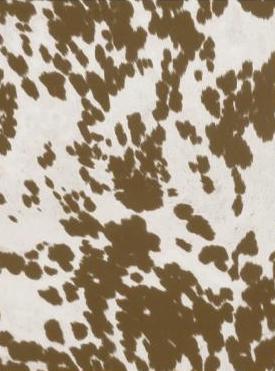 Cow patterned cream and oatmeal knit swatch on a white background