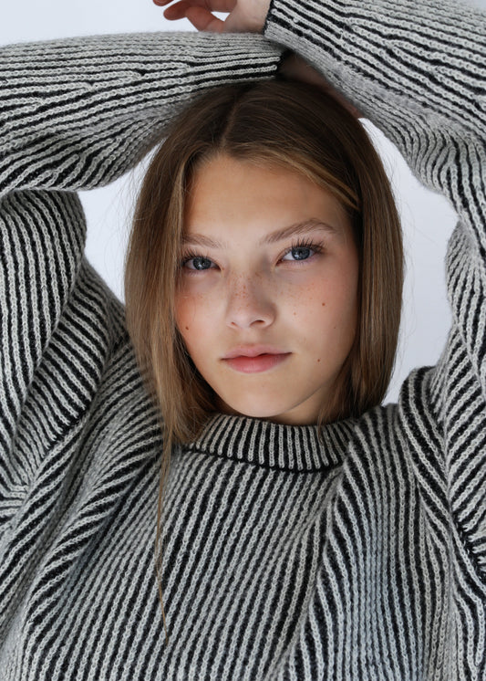 bicolor reversible crewneck