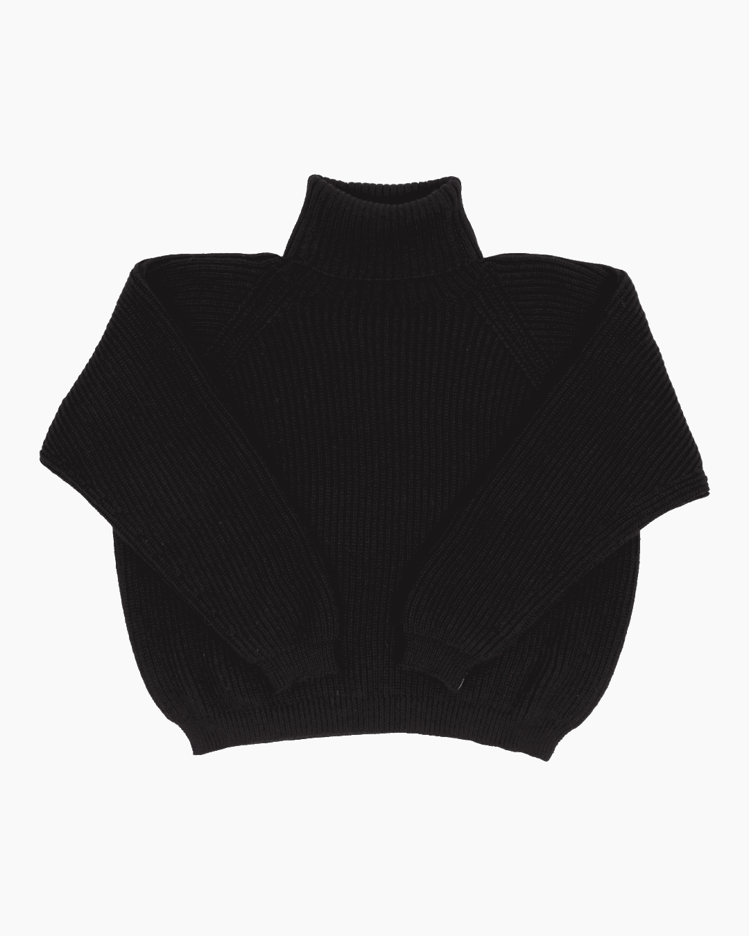 Packshot of a black cropped ribbed turtleneck