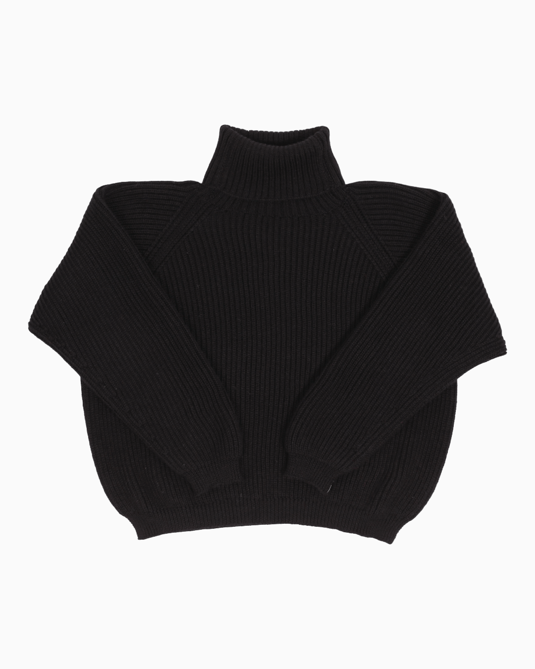 Packshot of a black cropped ribbed turtleneck