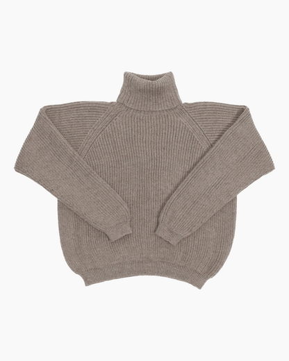 packshot of a brown cropped ribbed turtleneck