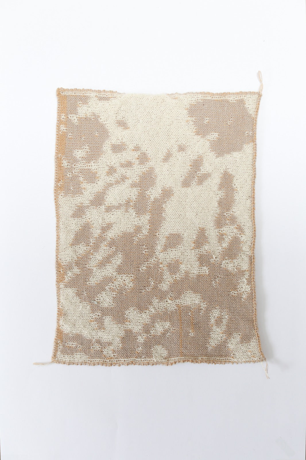 Cow patterned cream and tan knit swatch on a white background