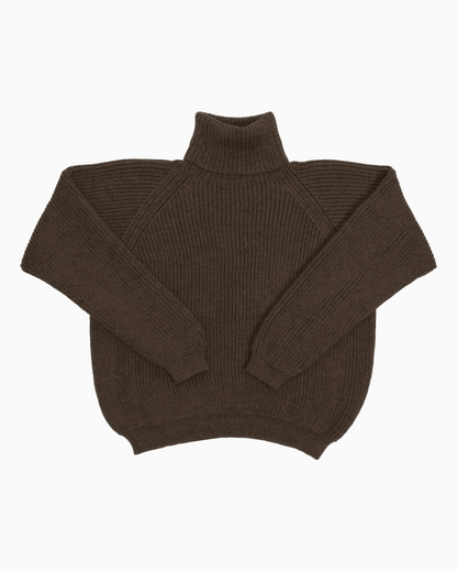 Packshot of a dark brown cropped ribbed turtleneck