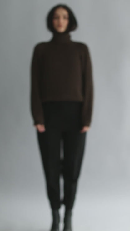 cropped turtleneck